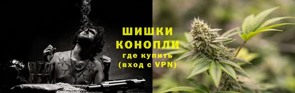 дживик Верхний Тагил